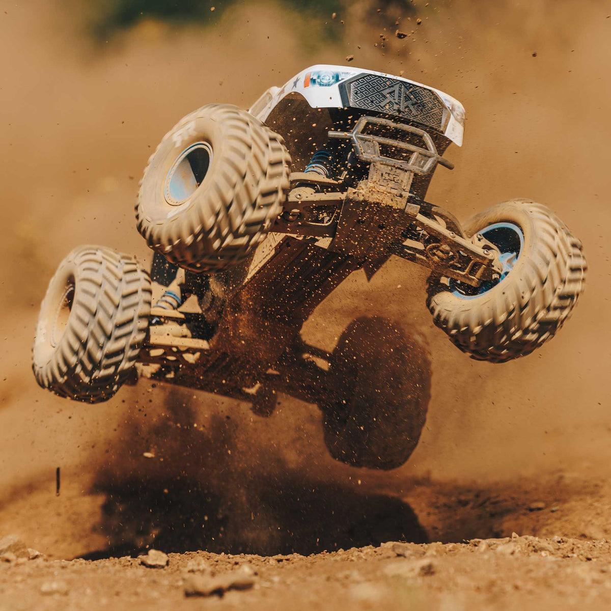 1/10 FREEDOM FLYER 223S 2WD RTR Brushless Monster Truck (Battery & Charger Included)