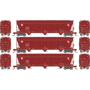 N ACF 4600 3-Bay Center Flow Hopper, ATSF (3)