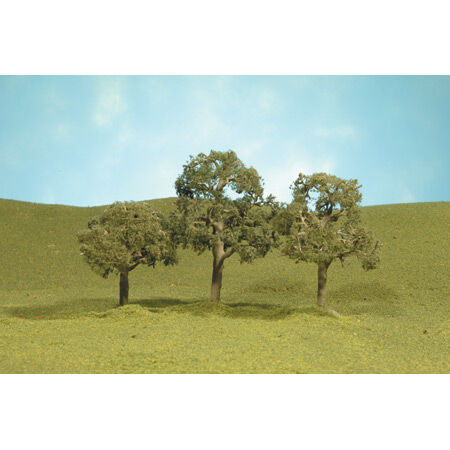 Scenescapes Walnut Trees, 2.5-3.5