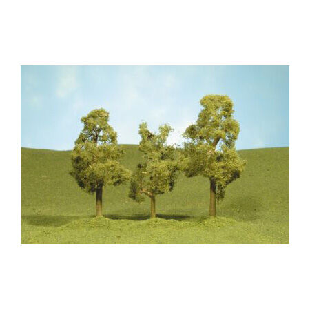 Scenescapes Sycamore Trees, 2.5-2.75