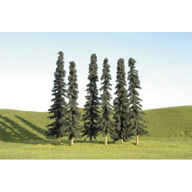 Scenescapes Confier Trees, 5-6