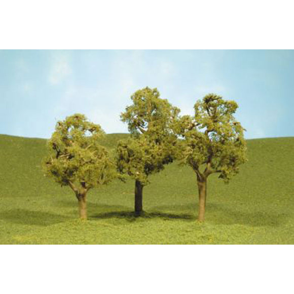 Scenescapes Elm Trees, 5.5