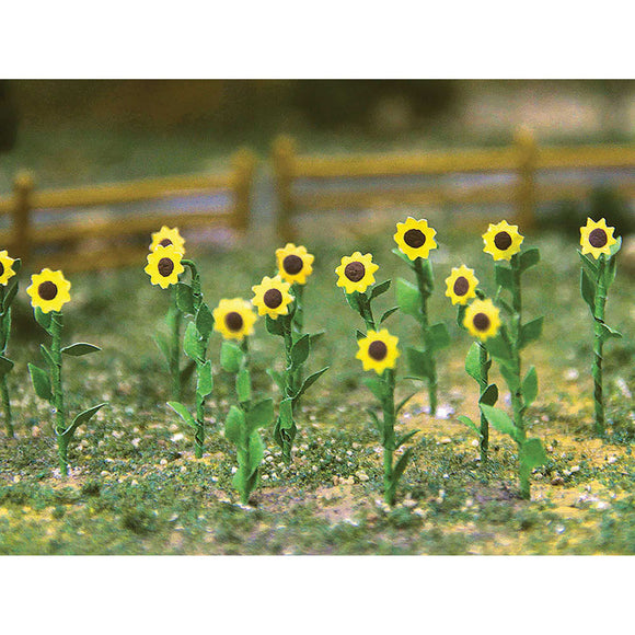Sunflowers - 1