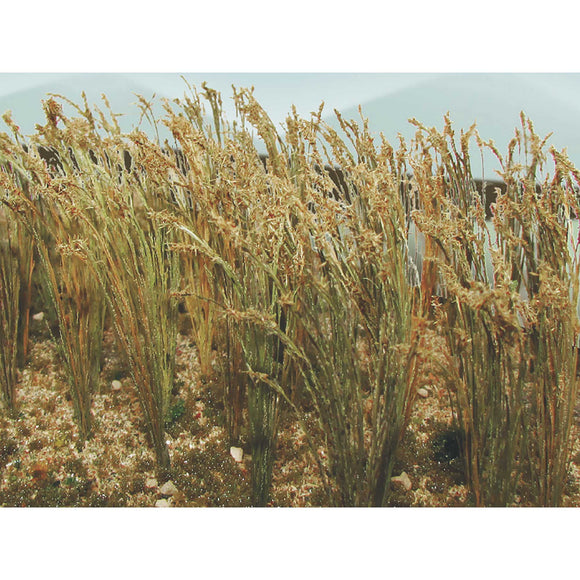 Wheat 1