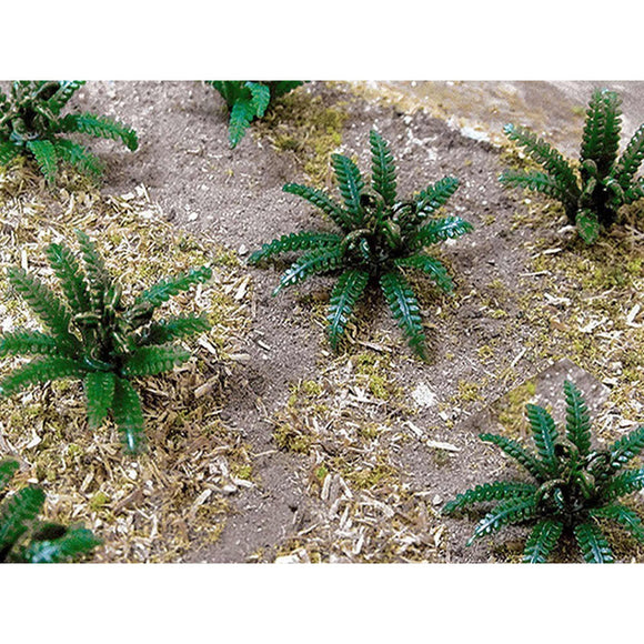HO Ferns - 5/8
