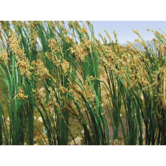HO Reeds - 1