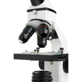 CM800 Compound Microscope