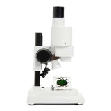 S20 Stereo Microscope