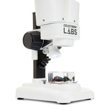 S20 Stereo Microscope