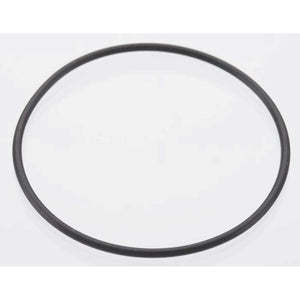 Back Plate O-Ring: DLE-20