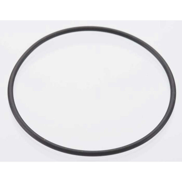 Back Plate O-Ring: DLE-20