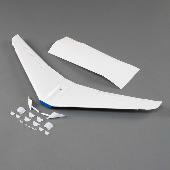 Painted Wing: Citation Longitude