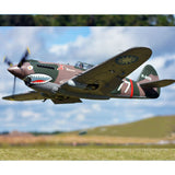 P-40B, PNP, 1400mm-