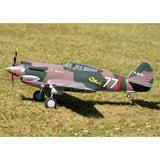 P-40B, PNP, 1400mm-