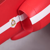 BAE Hawk Red Arrow 80mm EDF Jet PNP