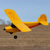 Hobbyzone Champ Anniversary Special Edition 515mm