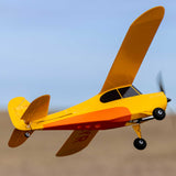 Hobbyzone Champ Anniversary Special Edition 515mm