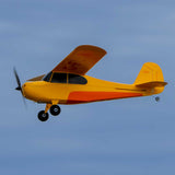 Hobbyzone Champ Anniversary Special Edition 515mm