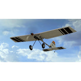 RealFlight Trainer Edition RC Flight Simulator with WS2000 Wireless Simulator USB Dongle