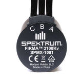 Firma 3660 3100Kv 4 Pole Sensorless Brushless Motor: 5mm