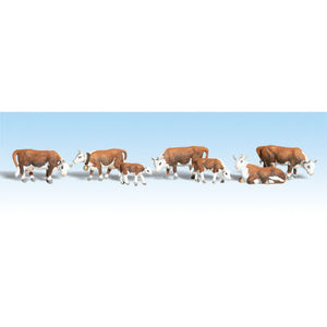 HO Hereford Cows
