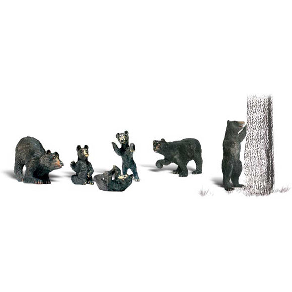 HO Black Bears