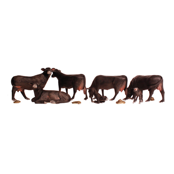 HO Black Angus Cows