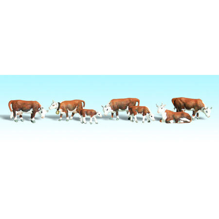 N Hereford Cows