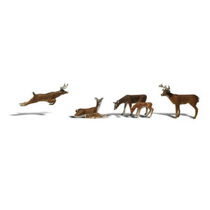 O Deer