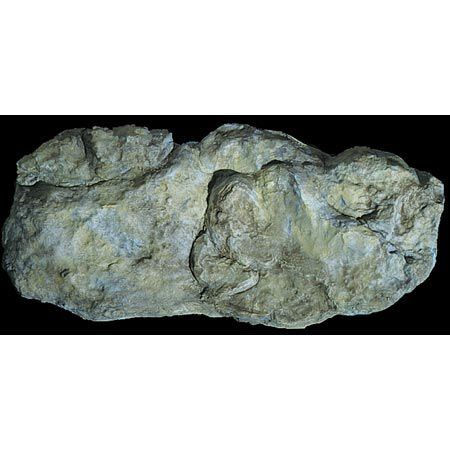Rock Mold, Washed Rock