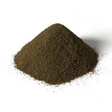 Earth Base Layer