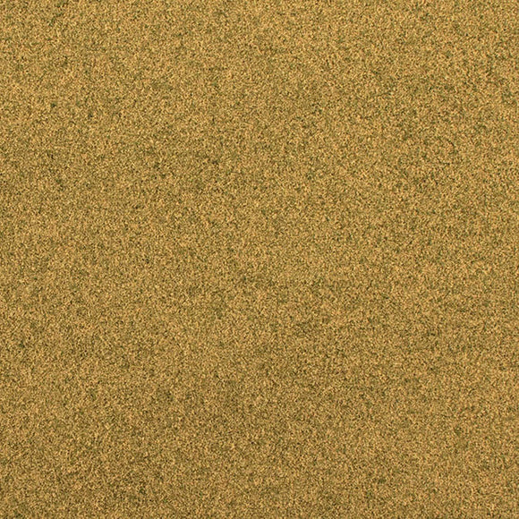 Dry Grass