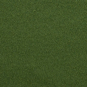 Spring Grass