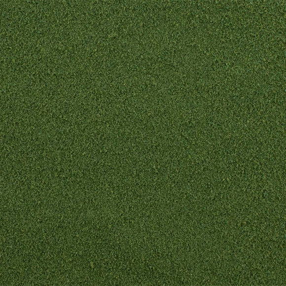 Spring Grass