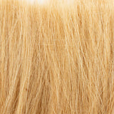 Gold Tall Grass