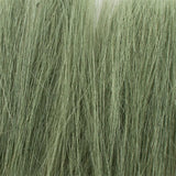 Green Tall Grass