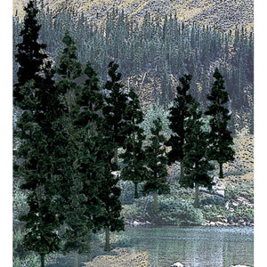 Value Trees, Conifer 4-6" (24)