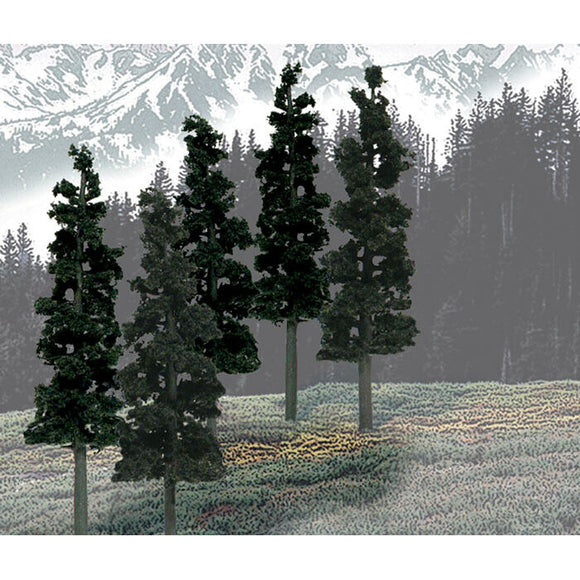 Value Trees, Conifer 6-8