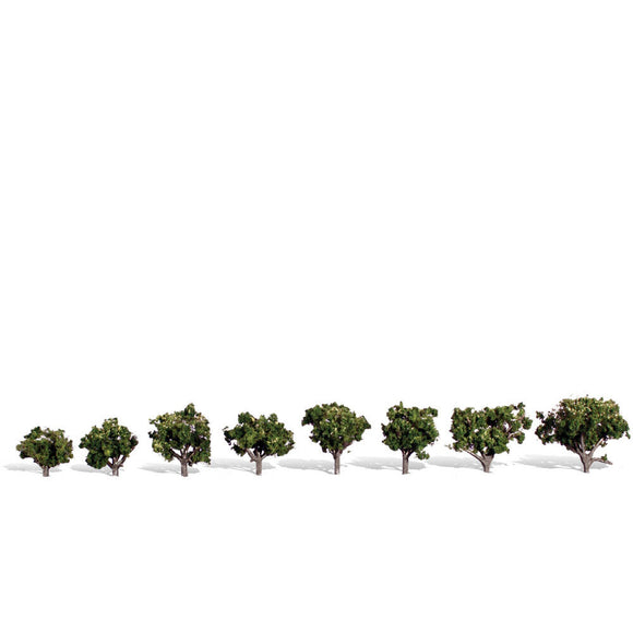 Classic Trees, Sun Kissed .75-1.25