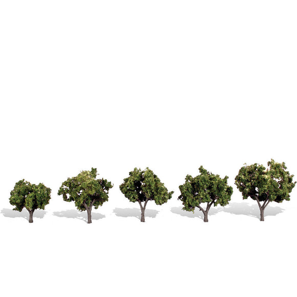 Classics Tree, Sun Kissed 1.25-2
