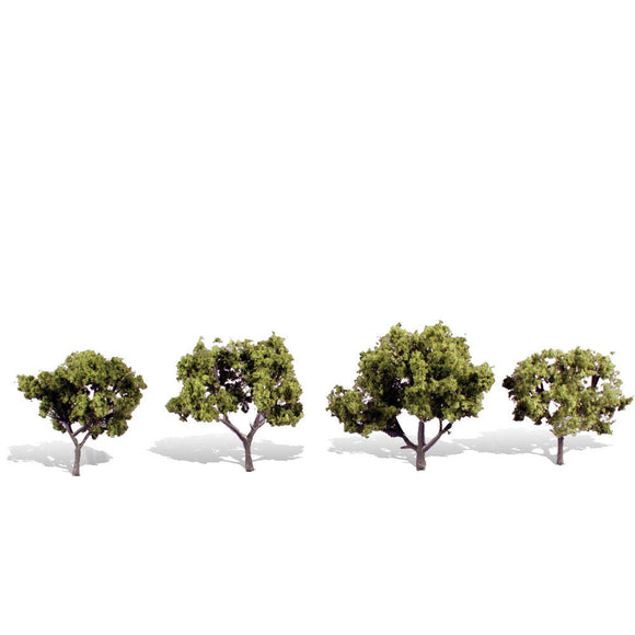 Classics Tree, Early Light 2-3