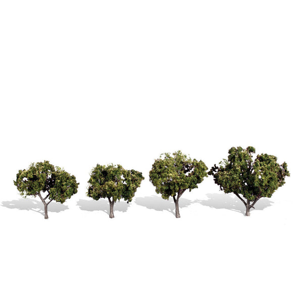 Classics Tree, Sun Kissed 2-3