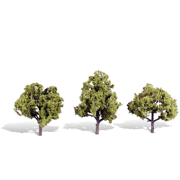 Classics Tree, Early Light 4-5