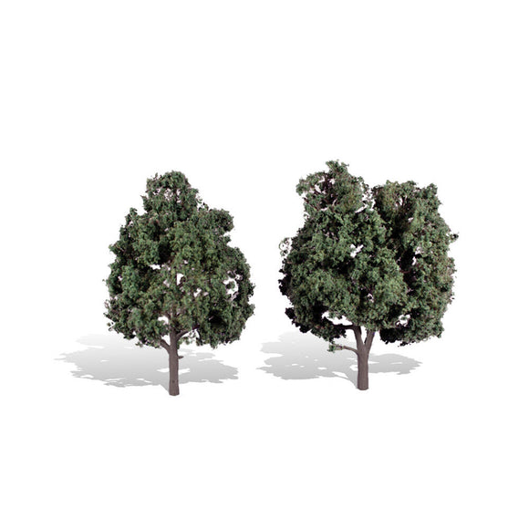 Classics Tree, Cool Shade 5-6