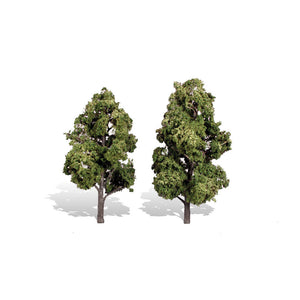 Classics Tree, Sun Kissed 6-7" (2)