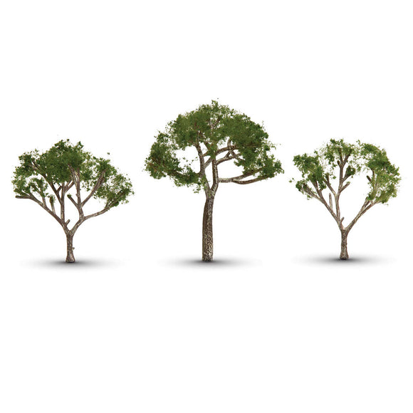 Gum Tree 2 1/2