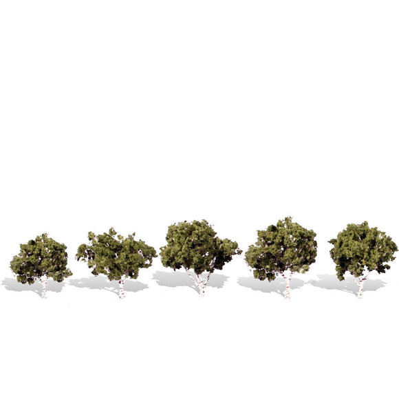 Classics Tree, Waters Edge 1.25-2
