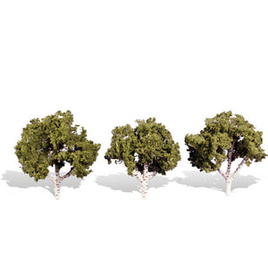 Classics Tree, Waters Edge 3-4" (3)