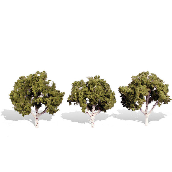 Classics Tree, Waters Edge 3-4
