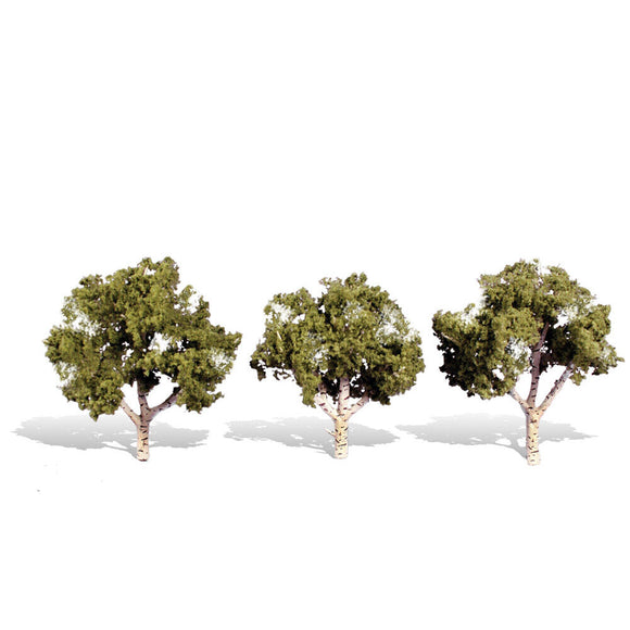 Classics Tree, Waters Edge 4-5
